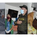 A Kátira un inescrupuloso la agarró a puños y patadas en el Centro de Bogotá, fue rescatada gracias a la denuncia de la comunidad