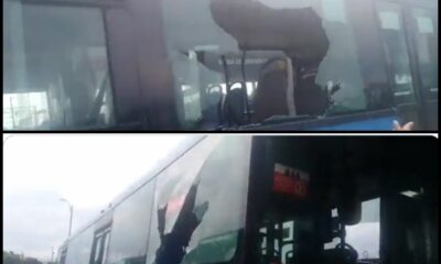 A pedradas y "de un lado a otro" asaltaron esta tarde a otro bus del MIO