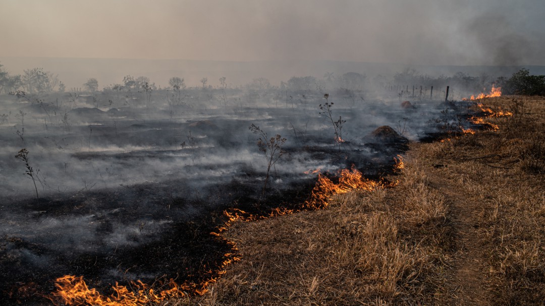 Al menos 50 hectáreas de bosque destruidas por incendio en Boyacá