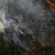 Cundinamarca: uno de los departamentos más afectados por los incendios forestales