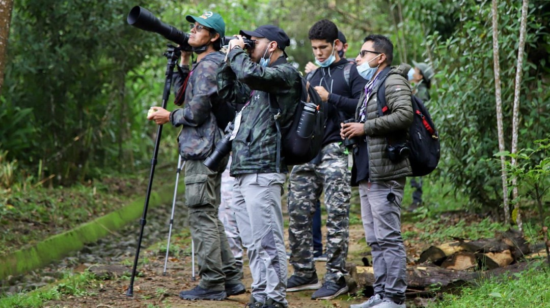 Empieza la temporada de avistamiento de aves en Manizales