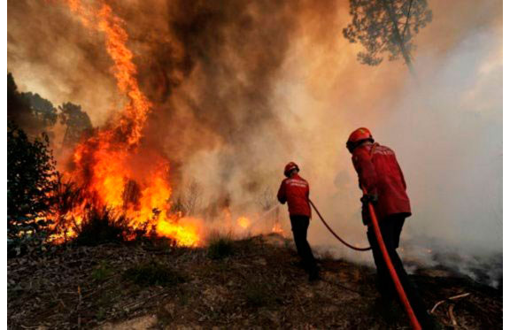 En alerta roja 9 municipios del Cesar por amenazas de incendios forestales