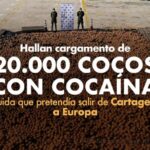 Hallan cargamento de 20.000 cocos con cocaína líquida que pretendía salir de Cartagena a Europa