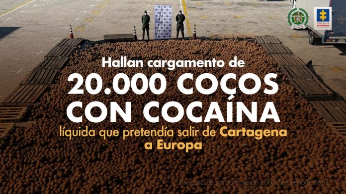 Hallan cargamento de 20.000 cocos con cocaína líquida que pretendía salir de Cartagena a Europa