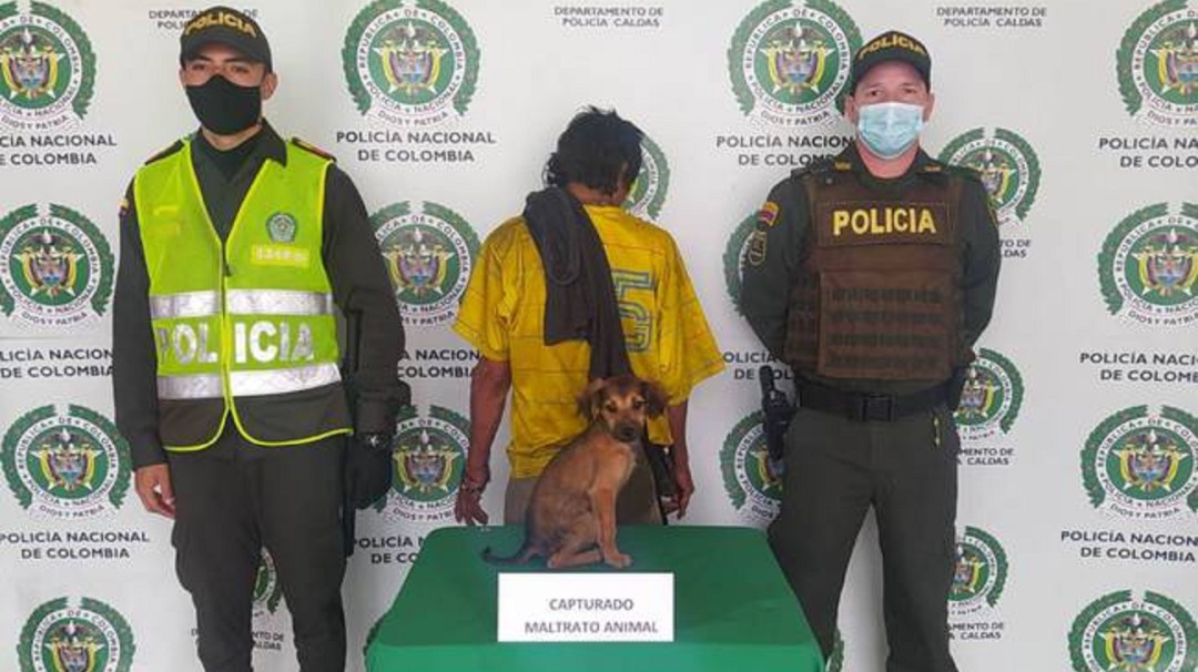 Maltrataba a su perro y el animal lo acompañó en el momento de su captura