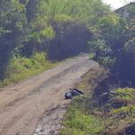Mototaxista fue asesinado en zona rural de Codazzi