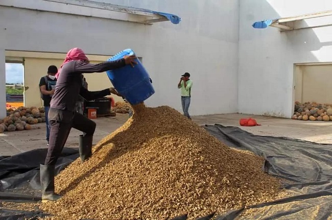 Salida de la empresa Agroproduce afecta 2.300 campesinos y 6000 empleos en Maicao