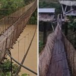 Se rompieron los cables del puente colgante de San Cipriano, en plena temporada de lluvias