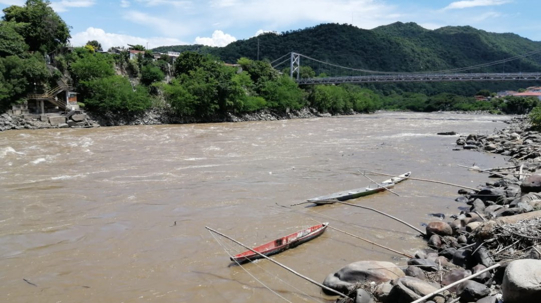 Subienda de pescado da primeras señales en el Tolima