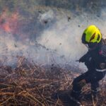 Tragedia ambiental en Boyacá: incendio destruyó 118 hectáreas de Bosque