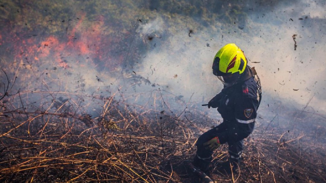Tragedia ambiental en Boyacá: incendio destruyó 118 hectáreas de Bosque
