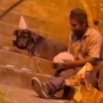 VIDEO: habitante de calle le partió torta de cumpleaños a sus perros
