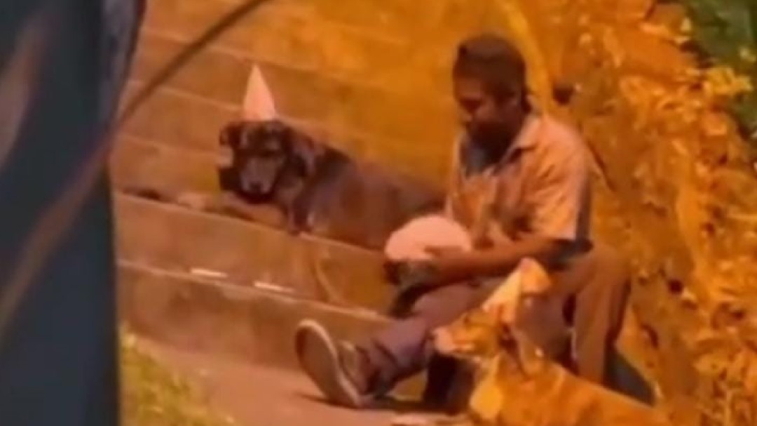 VIDEO: habitante de calle le partió torta de cumpleaños a sus perros