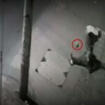Video: ¡Qué ira! Ladrón golpeó con una piedra a un hombre, le robó y lo dejó inconsciente