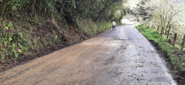 Ya habilitaron el paso en el Valle de Cocora