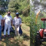 AGROSAVIA y el Ministerio de Agricultura y Desarrollo Rural entregaron 24 toneladas de silo de sorgo y maíz a productores de Campo de la Cruz para enfrentar la época de sequía.