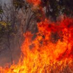 30 hectáreas de vegetación ha destruido un incendio en Firavitoba, Boyacá