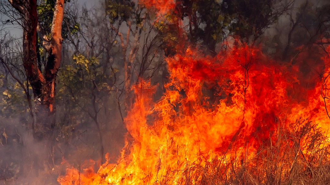 30 hectáreas de vegetación ha destruido un incendio en Firavitoba, Boyacá