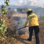 81 incendios vegetales se han presentado en Santa Marta en lo que va del 2022