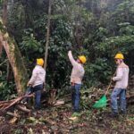 CHEC interviene árboles del Bosque Popular El Prado de Manizales