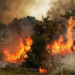 Cinco incendios forestales fueron controlados en Boyacá
