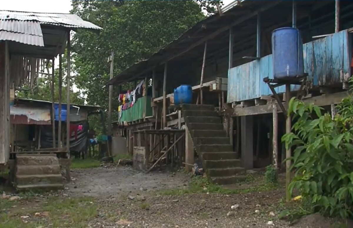 Confinados y con miedo viven en Chocó, donde el 77% de la población corre riesgo por la violencia | Colombia | NoticiasCaracol