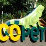 Cuatro municipios de Casanare, priorizados para el programa “El Campo Emprende”