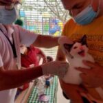 Durante el fin de semana fueron vacunados contra la rabia, cerca de 200 caninos y felinos en Yopal