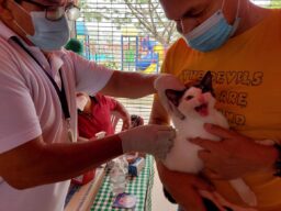 Durante el fin de semana fueron vacunados contra la rabia, cerca de 200 caninos y felinos en Yopal