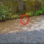 El vídeo de un habitante en condición de calle bañando en el río Pasto que generó discusión en redes