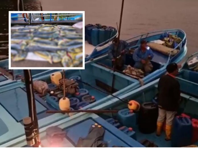 Embarcaciones con banderas extranjeras transportaban 1.6 toneladas de pesca extraída ilegalmente en aguas de Nariño
