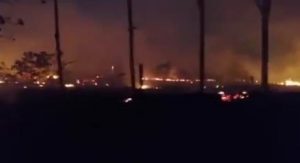 Incendio forestal en el Yarí arrasó cerca de tres mil hectáreas afectando flora, fauna y algunas viviendas