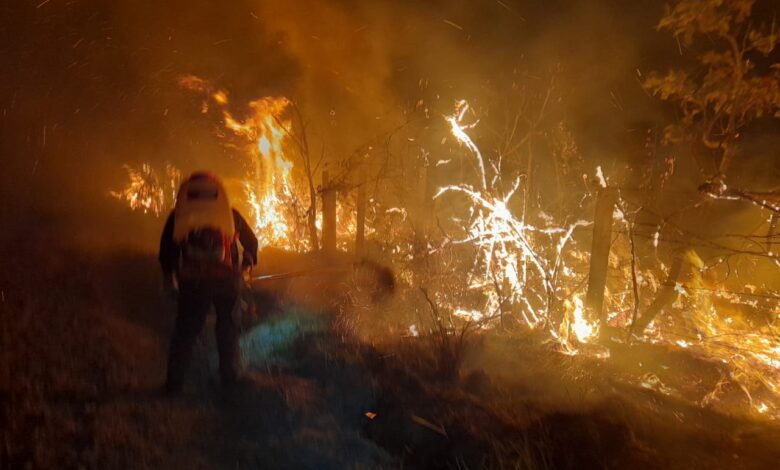 Incendio forestal en el municipio de Orocué