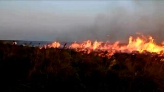 Invaluables pérdidas tras incendios de grandes proporciones en Paz de Ariporo y Aguazul,