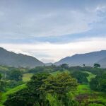 Los cultivos ilícitos en la Sierra Nevada se han erradicado en un 95%