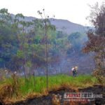 Más de 15 mil hectáreas de vegetación se han devorado incendios forestales en Paz de Ariporo y Aguazul