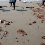 Mueren ahogadas dos turistas en playas de Arboletes
