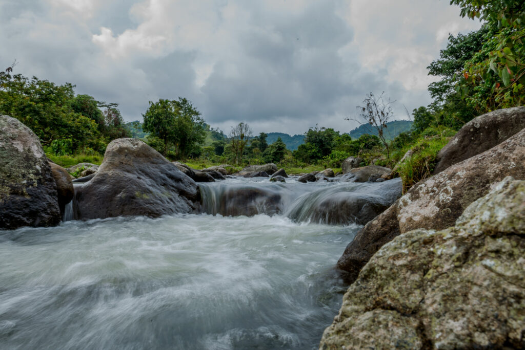 Risaralda avanza en la preservación de las áreas naturales 