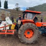 “Veo el futuro grave, el cultivo de papa desaparecerá”: campesino de Cogua (Cundinamarca)