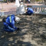 A buen ritmo avanzan trabajos de arreglo y recuperación en el Parque de Los Novios