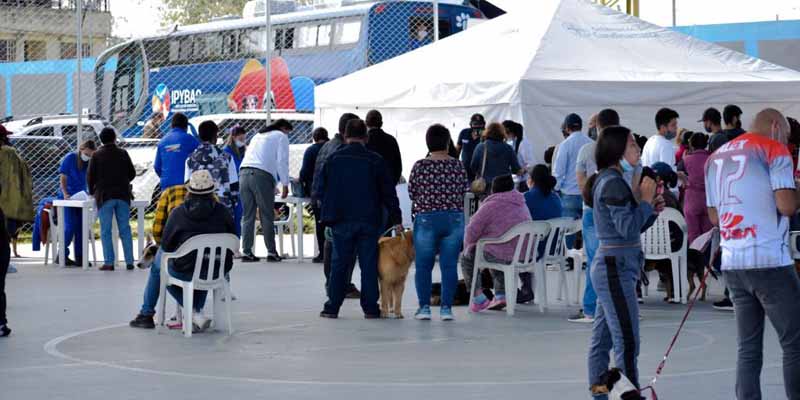 Alianza Región Metropolitana por los animales