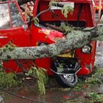 Vehículos, viviendas y cables de energía fueron algunos daños de la caída de árboles