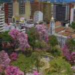 Panorámica de Ibagué florecida de Ocobos