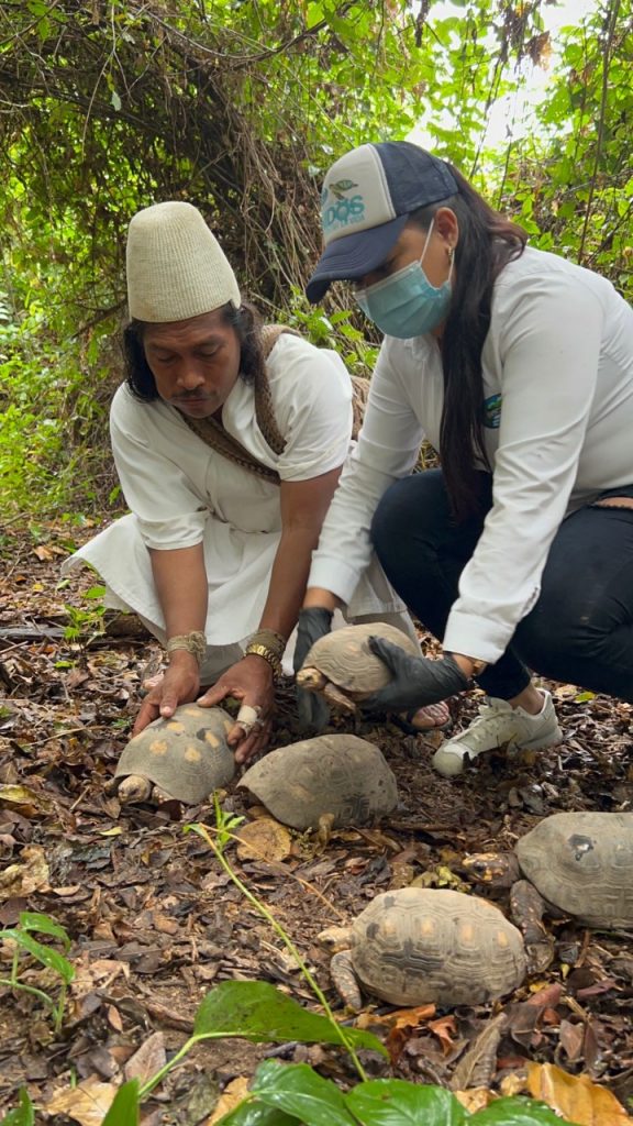 Con la liberación de especies, Corpamag conmemora el Día Mundial de la Vida Silvestre