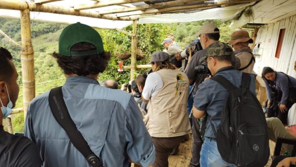 Con recorrido por hábitat del ave emblemática de Pereira concluyó el Bird Festival