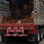EPA Cartagena extrema vigilancia contra el tráfico de madera