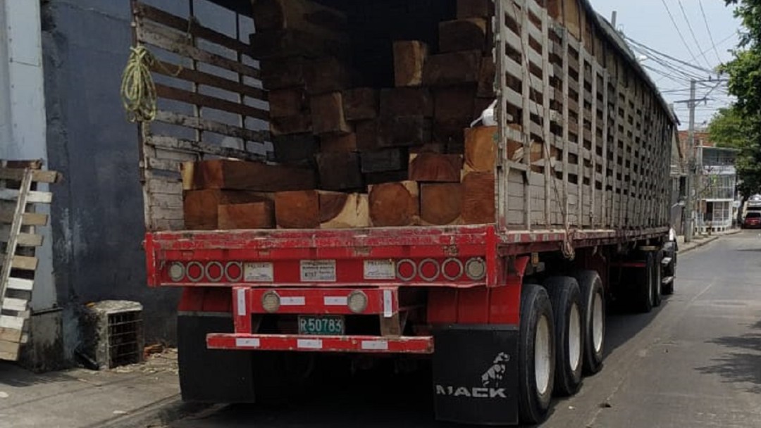 EPA Cartagena extrema vigilancia contra el tráfico de madera