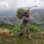 Diariamente llegan, sin costos de transporte, unos 400 kilos de hortalizas sembradas y cosechadas por 80 productores rurales de Medellín