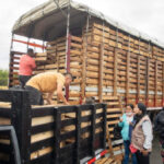 Gobernación de Risaralda fortaleció procesos de producción avícola en Dosquebradas