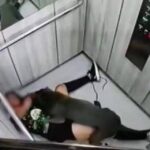 Pitbull atacó y arrastró a mujer dentro de ascensor
